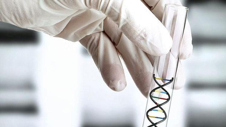 Yargıtay: Zorla DNA testi yaptırılır