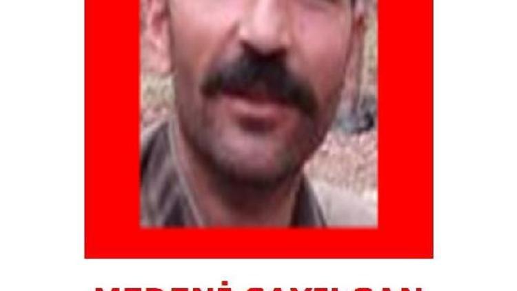 Tuncelide MİT ve jandarmanın ortak operasyon: 7 PKKlı öldürüldü (2)- Yeniden