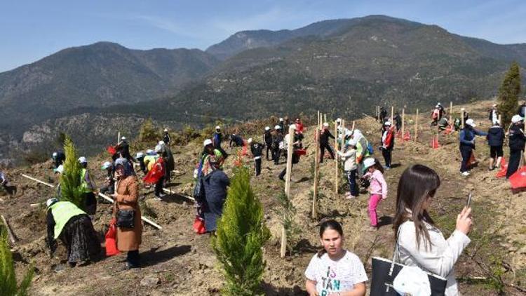 Yangında zarar gören alana fidan dikildi