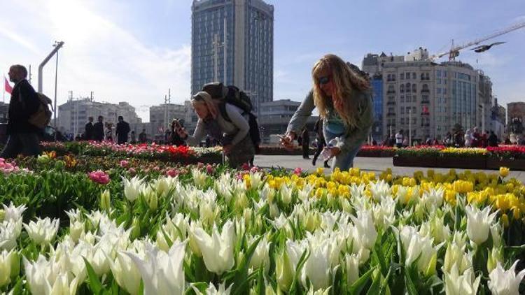 Taksim Meydanına binlerce lale dikildi