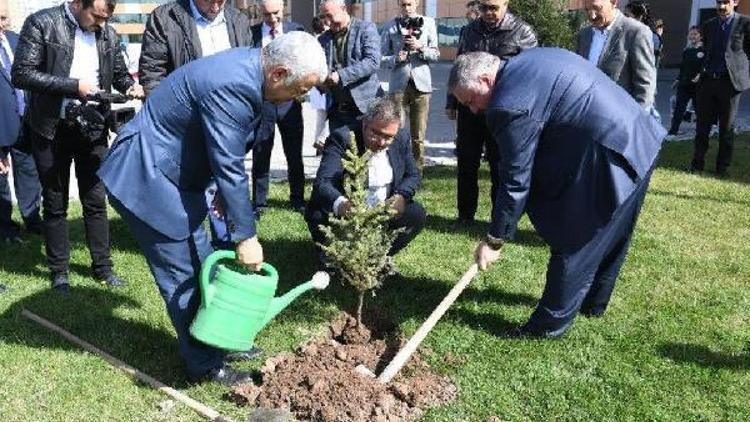 OSB, 3 yıl içinde 75 bin ağaç ve bitki dikti