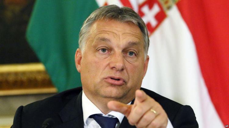 Macar seçimlerinde favori Orban