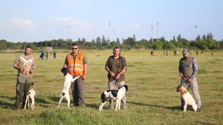 Serikte av köpekleri yarıştı