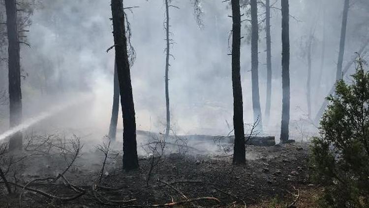 Bursada 8 hektar orman yandı