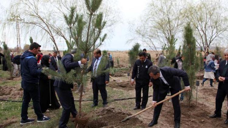 Ahlat’ta Şehitler Ormanı kuruldu