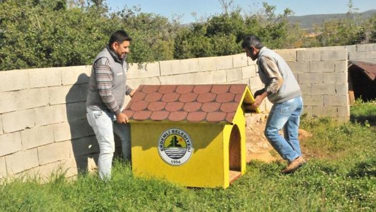 Erdemli’de sokak hayvanlarına barınak