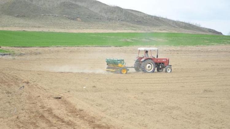 Bitlis’te ‘Mera Islah ve Amenajman Projesi’ uygulanmaya başlandı