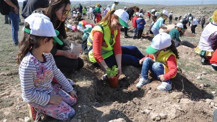 10 bin meşe palamudu toprakla buluşturuldu