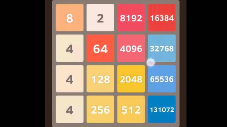 FETÖnün gizli oyunu: 2048 nedir