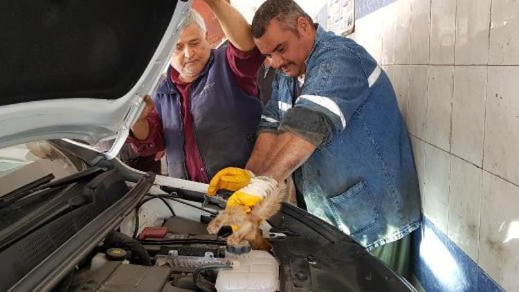 Otomobile giren kedi, tamircide çıkarıldı