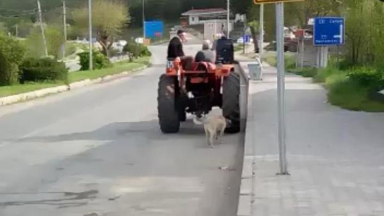 Traktörün arkasına iple bağladığı köpeği koşturdu