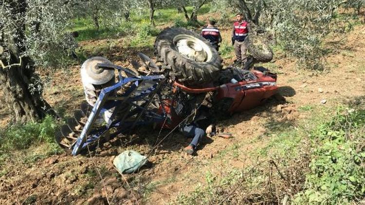 Zeytinliğe uçan traktörün altında kalarak öldü