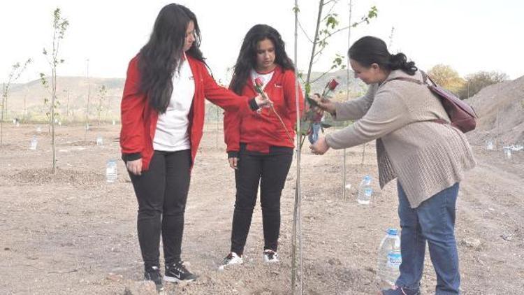 Eskişehirde, Afrin şehitleri anısına 52 fidan dikildi