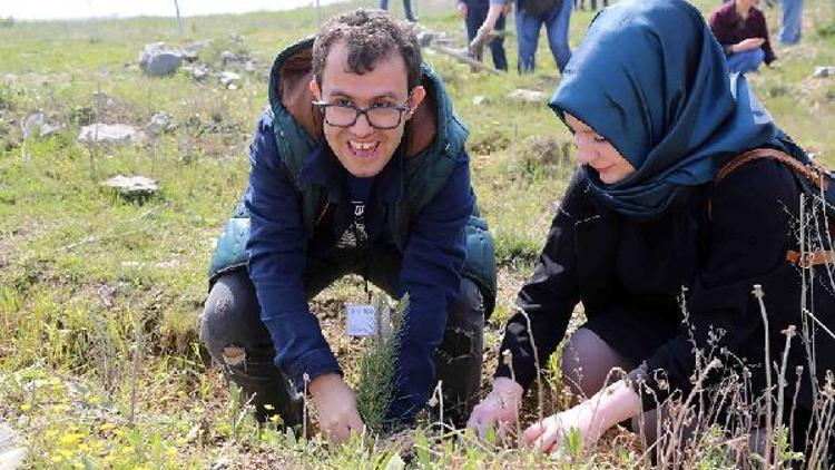 Engelliler üniversite öğrencileriyle birlikte fidan dikti