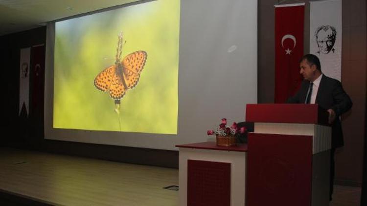 Türkiye’deki 420 kelebek türünden 230’u Van Gölü havzasında