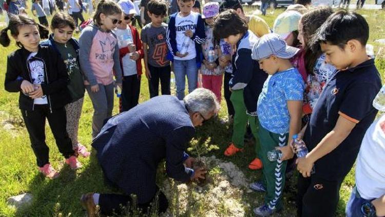 Öğrenciler karaçam ve sedir fidanı dikti