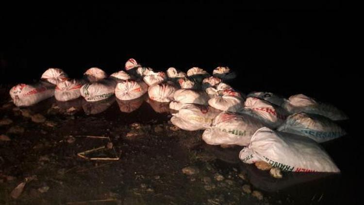 Vanda kaçak avlanılan 2 ton 800 kilo inci kefali balığı ele geçirildi