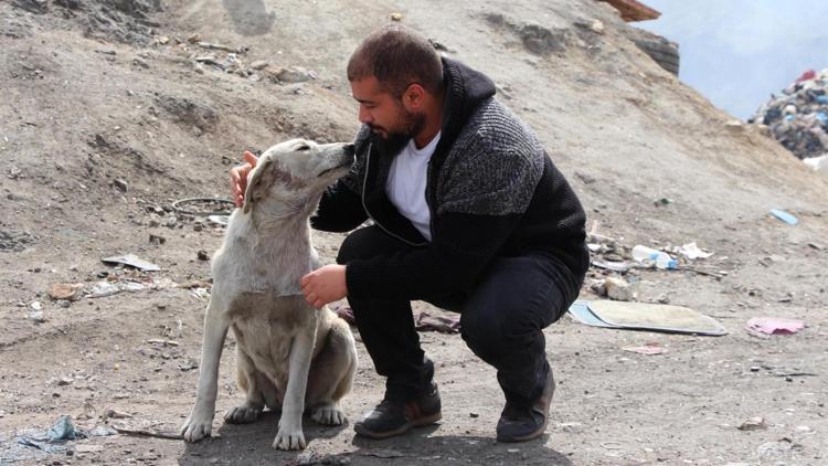 Öğrenci ve akademisyenler, sokak hayvanları için seferber