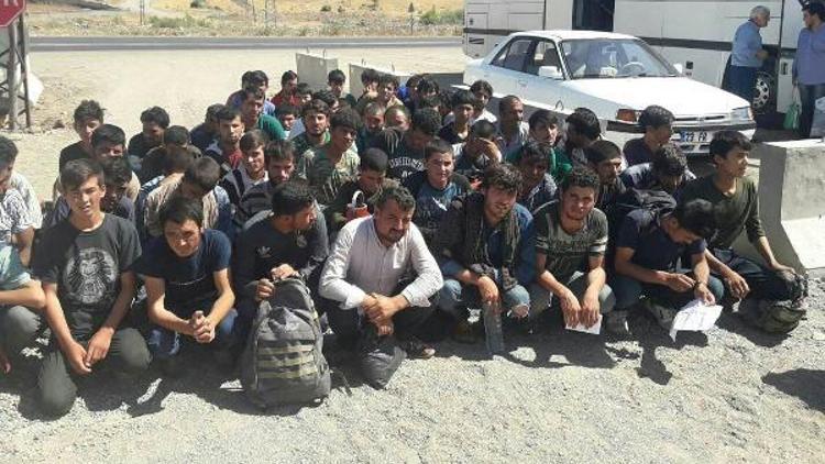 Bingölde 59 kaçak göçmen yakalandı
