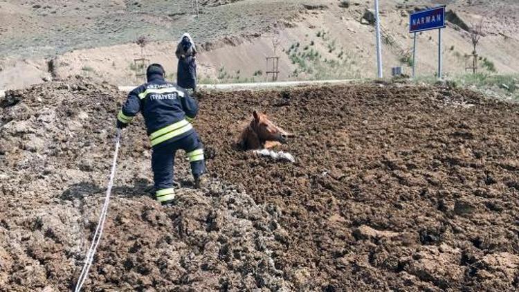 Gübre yığınına saplanıp mahsur kalan atı, itfaiye kurtardı