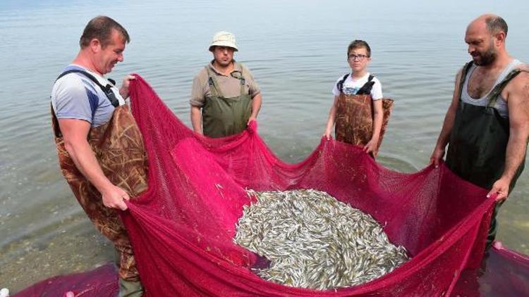 İznik Gölünde gümüş balığı avı sürüyor