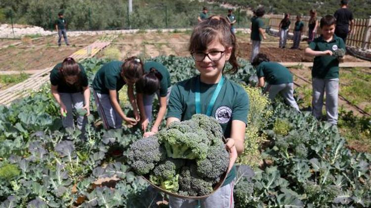 Antalyada çiftliği olan sıradışı okul