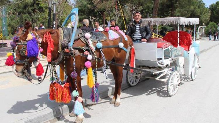 Burdurda faytoncuların sayısı azaldı