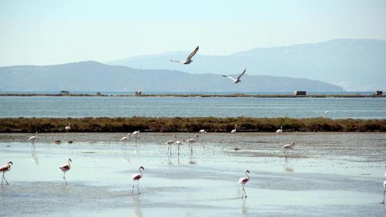 İzmir Kuş Cennetine borulu sistemle can suyu