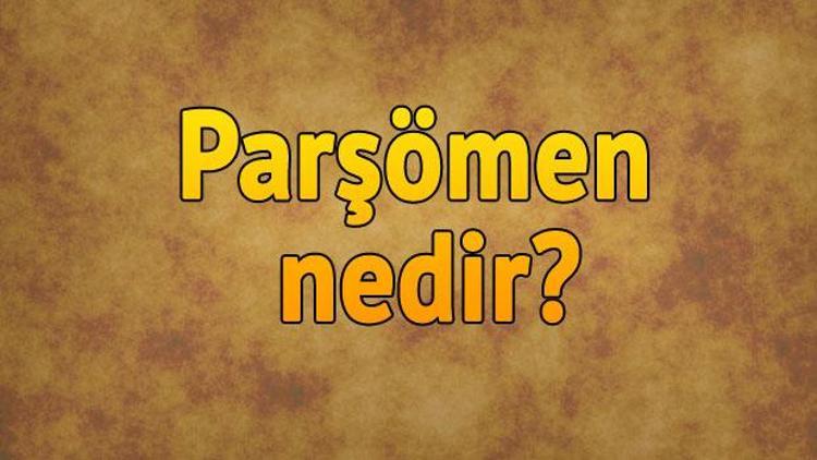 Parşömen nedir