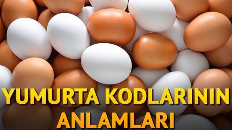 Yumurta kodları nelerdir İşte Yumurta etiketindeki numaraların anlamları