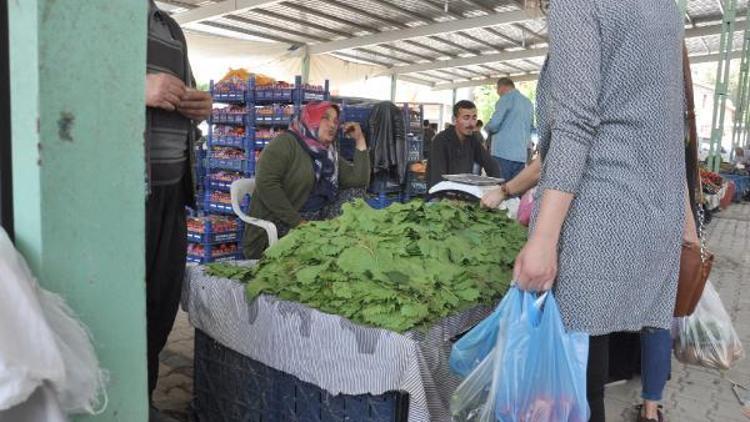 İslahiyede asma yaprağı pazardaki yerini aldı