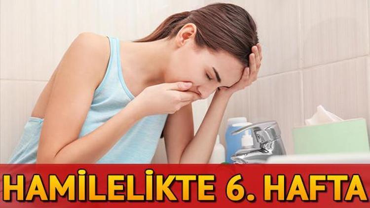 Hamileliğin 6. haftası | Hafta hafta gebelik