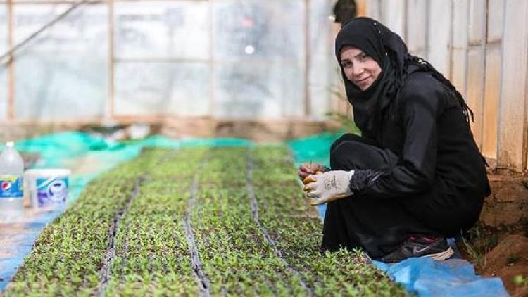 FAO: Tarıma yatırım Suriye’nin geleceği için hayati önemde