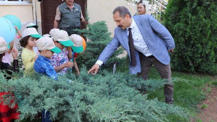 Orman işletmesini ziyaret eden öğrencilere eğitim