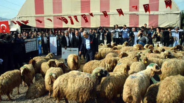 Bakan Fakıbaba, Şırnakta özeleştiri yaptı