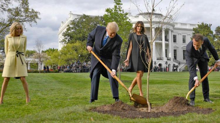 Macron ve Trumpın diktiği kayıp fidanın akıbeti belli oldu