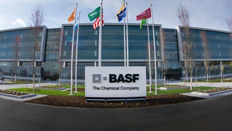 BASFın Bayerin bazı varlıklarını satın almasına onay çıktı