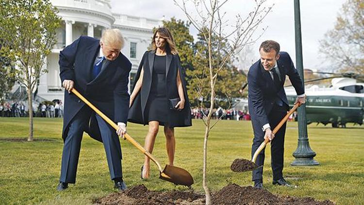 Trump ile diktikleri fidan kaldırıldı