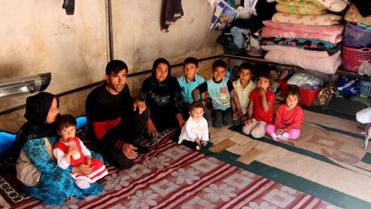 Şanlıurfada 11 kişilik aile 2 yıldır çadırda yaşıyor