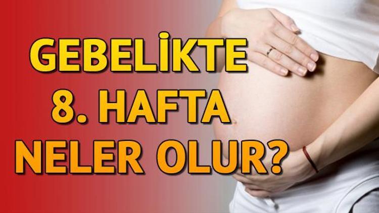 Gebeliğin 8. haftası | Hafta hafta gebelik