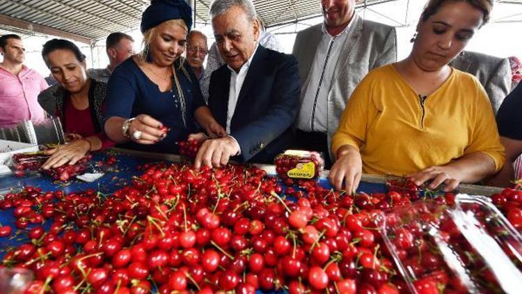 Kiraz üreticilerinin sorunlarını dinledi