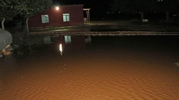 Harran’da yarım saatlik yağmur sele neden oldu