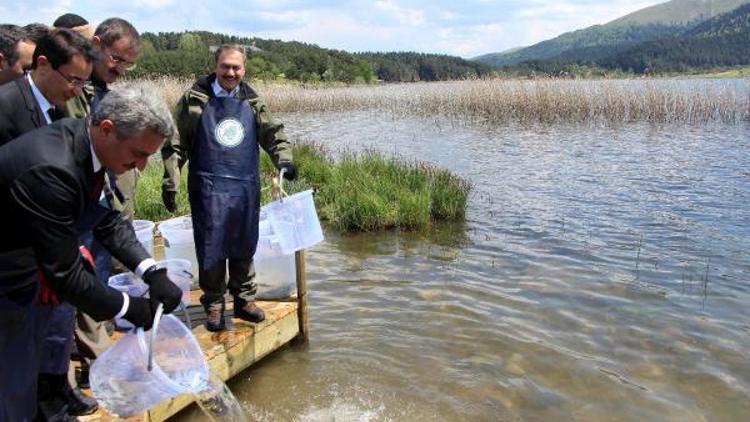 Bakan Eroğlu: Kurdukları ittifak çökecektir(2)