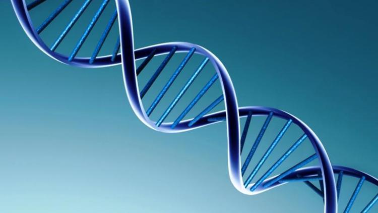 Çinli araştırmacılar iki yeni cüzzam geni değişkeni tespit etti