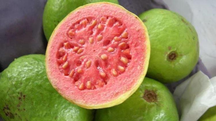 Guavanın faydaları neler Guava meyvesi nasıl tüketilir