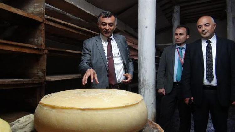THYden peynir temalı turizm gezisi