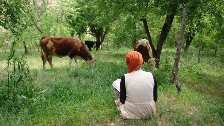 Merada hayvan otlatırken, üniversiteye hazırlanıyor