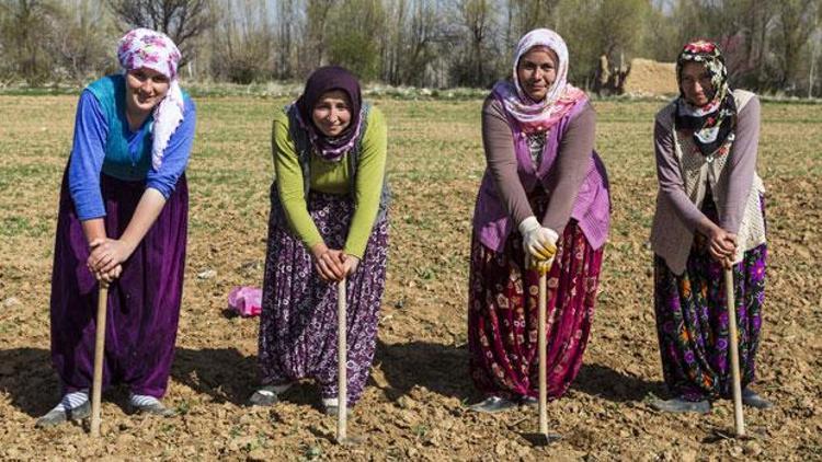 Türk insanı hakkında şaşırtıcı bilgiler