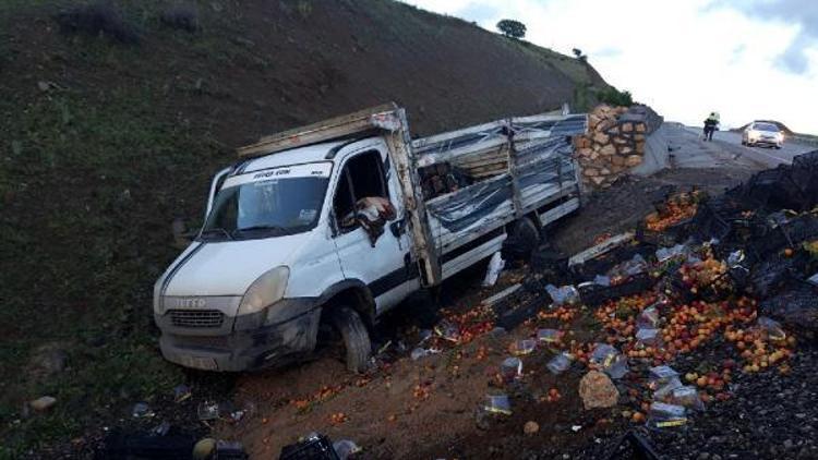 Şarampole yuvarlanan sebze yüklü kamyonetin sürücüsü öldü