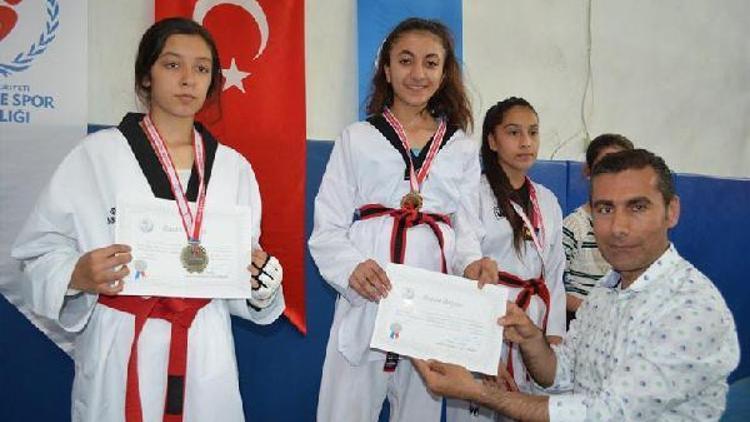 Osmaniyeli Yıldız Taekwandocular Türkiye finalinde